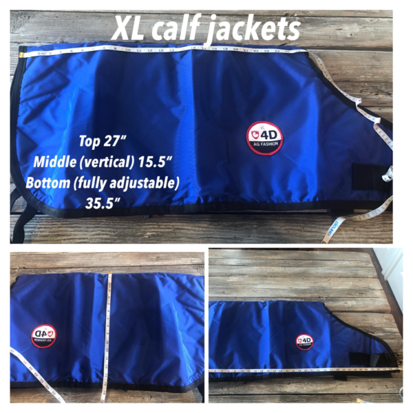 4-D AG Blue Calf Jacket : XL