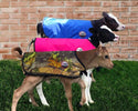 4-D AG Blue Calf Jacket : XL