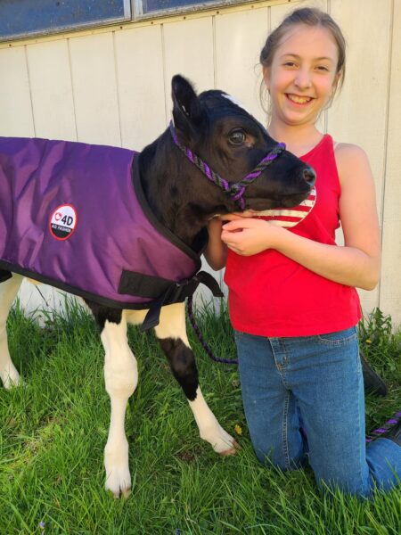 4-D AG Purple Calf Jacket : Medium