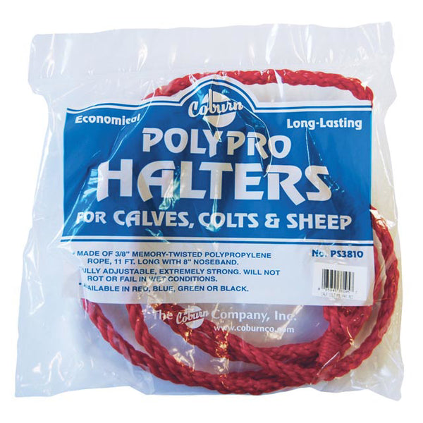Polypro Calf or Colt Halter : Red