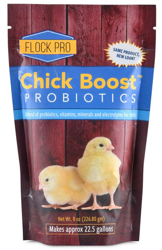 Chick Boost Probiotic : 8oz