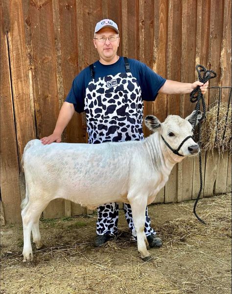 4-D Ag Adult Cow Print Bibbed Overalls : Small