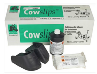 Cowslips Plus Kit Left : 10ct