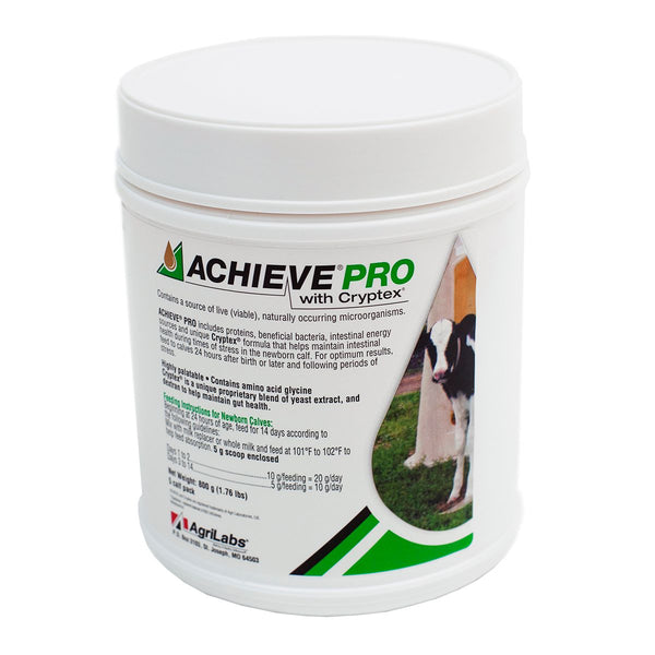 Achieve Pro Calf Powder : 800gm