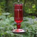 Perky Pet Hummingbird Antique Red Glass Feeder : 24oz