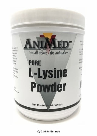 Animed L-Lysine Powder : 16oz
