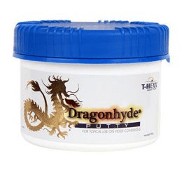 Dragonhyde Putty 400gm