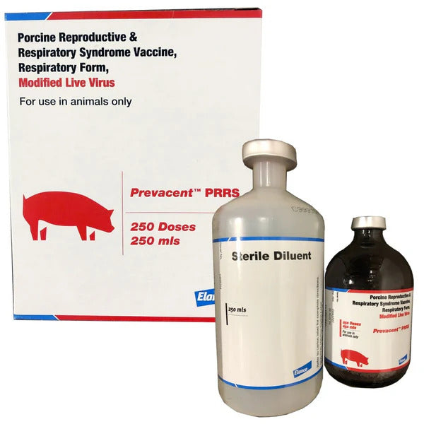 Prevacent PRRS 100ml : 100ds