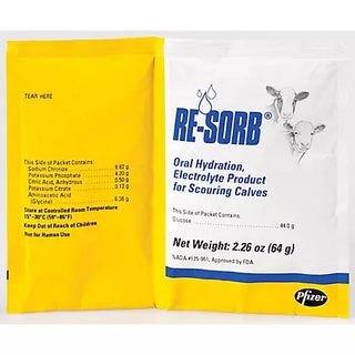 Re-Sorb 64gm Packet: Single Packet