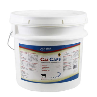 Calcaps : 300ct