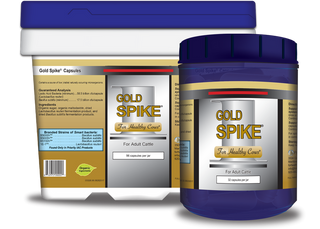 Gold Spike Capsules : 32ct