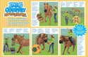 Big Country Toys Horse w/Cowgirl Playset : 19pc