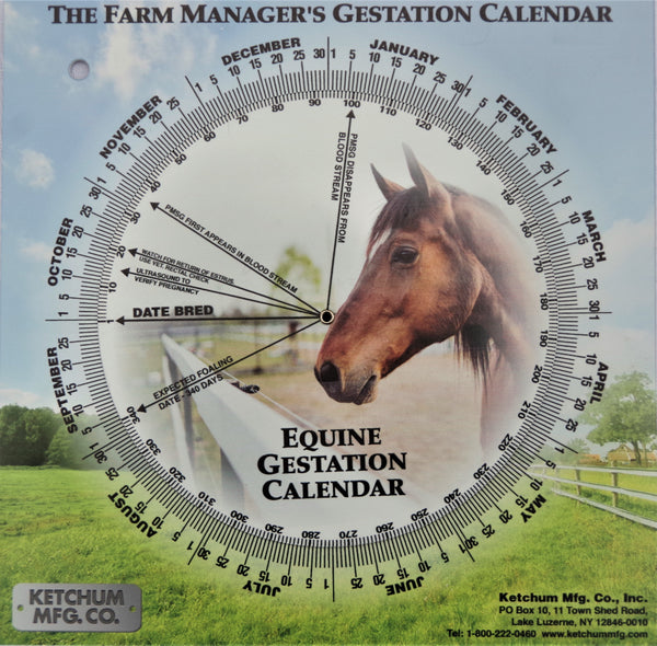 Equine Gestation Calendar