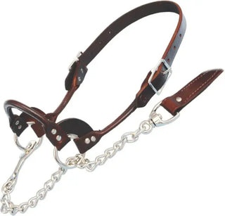 Leather Rolled Nose Show Halter : Brown Large
