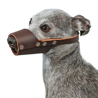 Jorgy Leather XL  Muzzle JO230E