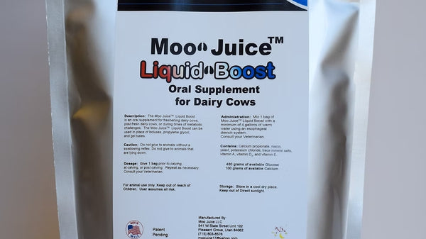 Moo Juice Liquid Boost Oral Supplement for Dairy Cows : 8ct