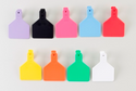 Z Tag Orange No Snag Calf ID Numbered Tags 101 - 125 : Pack of 25