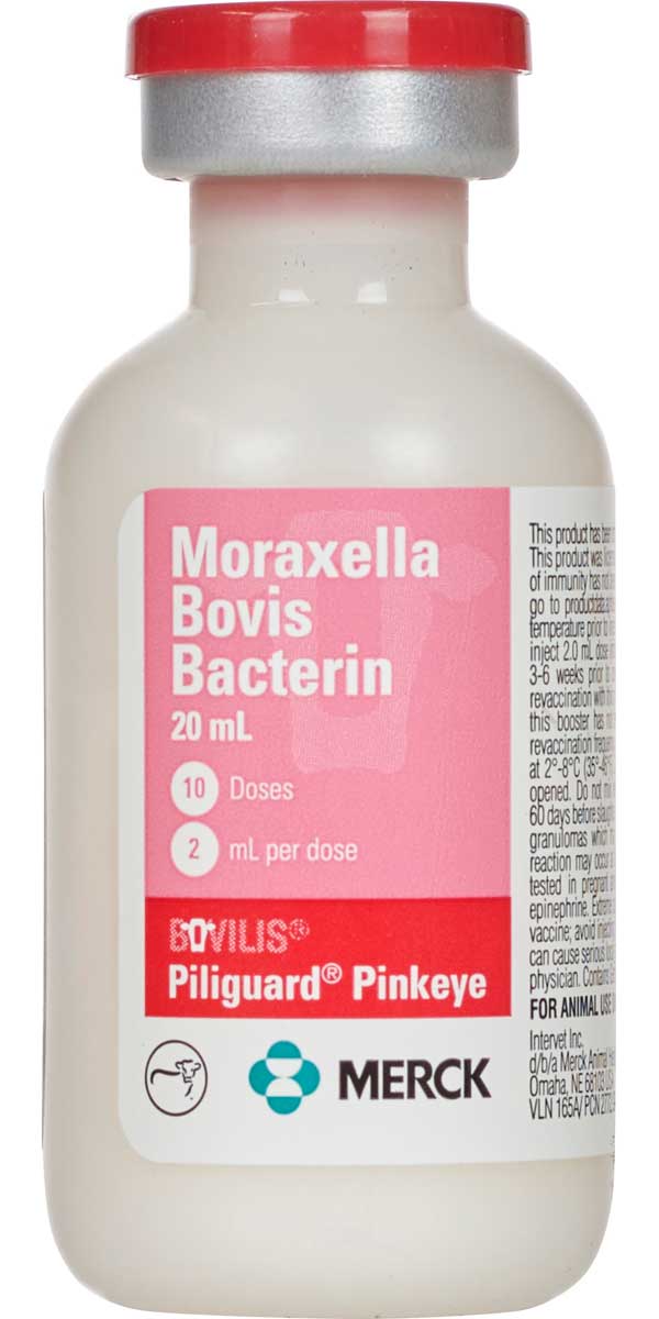 Bovilis Piliguard Pinkeye 20ml : 10ds