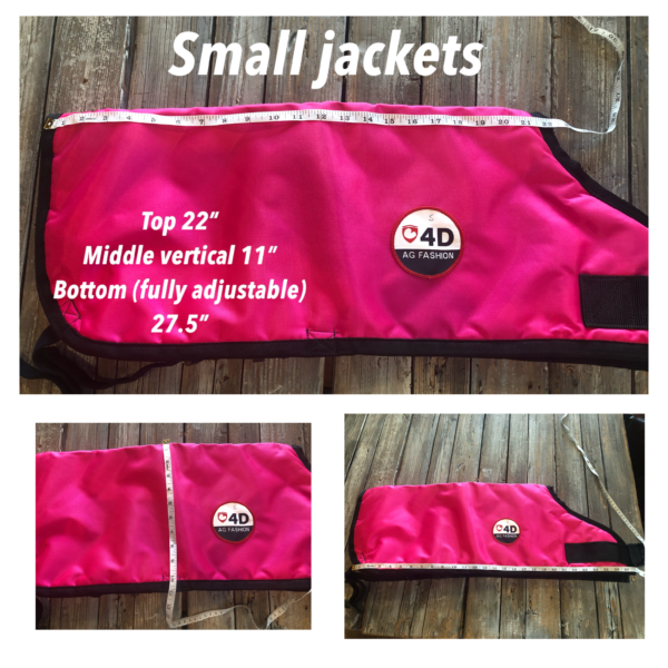 4-D AG Pink Calf Jacket : Small