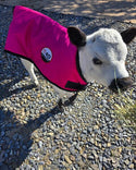 4-D AG Pink Calf Jacket : Small