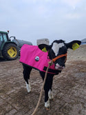 4-D AG Pink Calf Jacket : Small