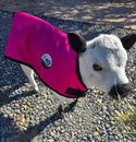 4-D AG Pink Calf Jacket : Small