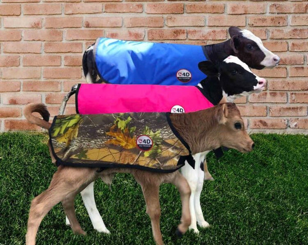 4-D AG Pink Calf Jacket : Large