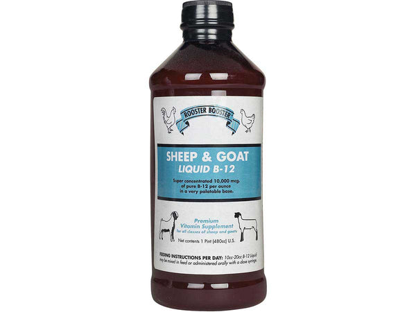 Rooster Booster B12 for Sheep/Goats : 16oz