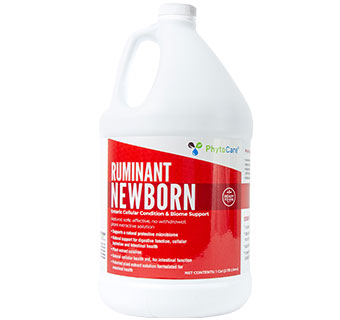 Phytocare Ruminant Newborn : Gal