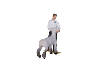 Little Buster Toys Lamb Showmen Boy