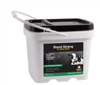Stand Strong Dairy Calves : 8.5lb