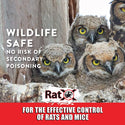 RatX Throw Packs : 6ct