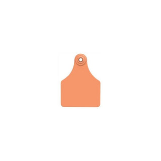 Allflex Global Large Blank Tags : Pack of 25 Orange