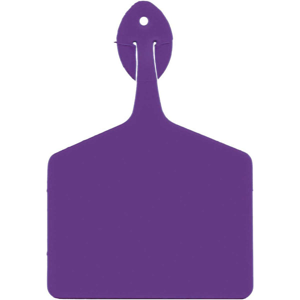 Allflex Dk Purple Feedlot Blank Tags : Pack of 50