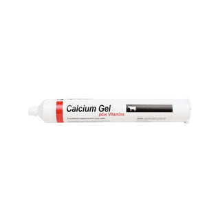 Calcium Gel Plus Vitamins 300 gram Tube