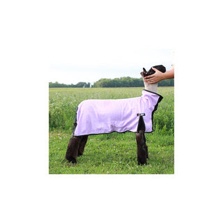 Sullivan Cool Tech Sheep Blanket : Purple Medium (115 to 150lbs)