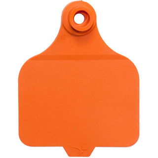 Duflex Orange Large Blank Tags : Pack of 25