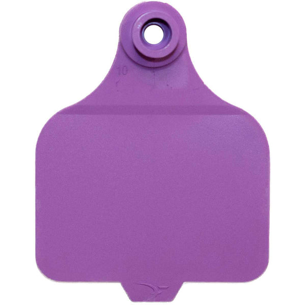 Duflex Purple Large Blank Tags : Pack of 25