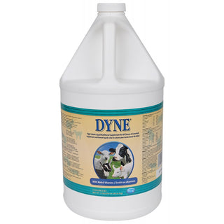 Dyne High Calorie Liquid Supplement : Gallon