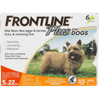 Frontline Plus Dog 0 to 22lbs : 6ct
