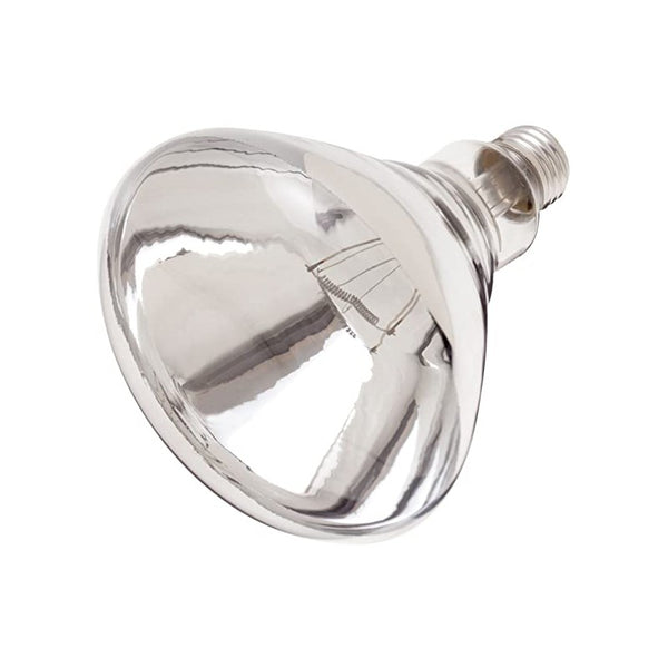 250W Clear Bulb for Heat Lamp-Clear