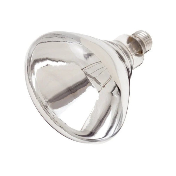 125W Clear Bulb for Heat Lamp-Clear