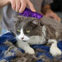 Kong ZoomGroom Cat Groomer : Small-Purple