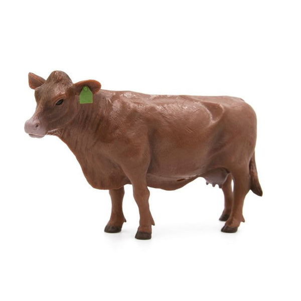 Little Buster Red Angus Cow