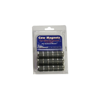 Neogen Ringed Ferrite Magnets : 3ct