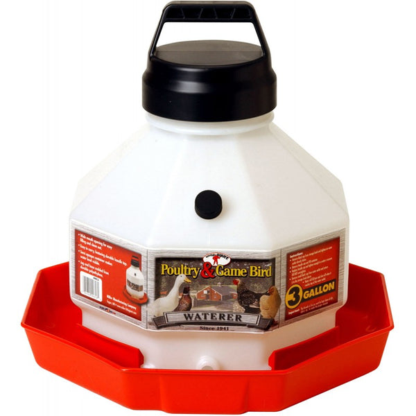 Poultry Fountain and Game Bird Waterer : 3 Gallon