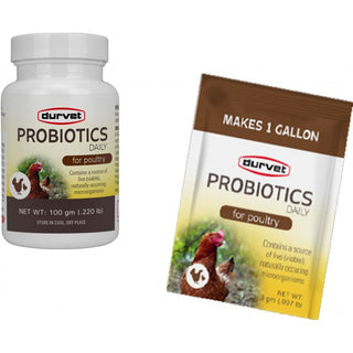 Durvet Poultry Probiotics Daily : 100gm