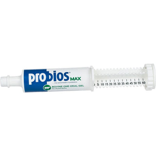 Probios Max Gel : 60gm