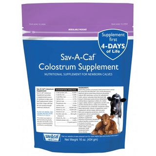Sav A Calf Colostrum Supplement : 16oz