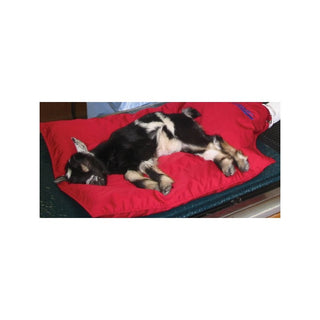 Jorgy Reusable Warm Air Blanket Large 48"x 24" J1034B